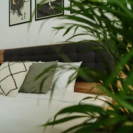 Apartament 1 - New Building & Parking Bucureşti