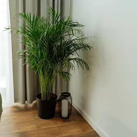 1 - New Building & Parking *