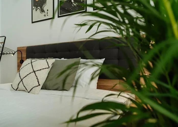 Apartament 1 - New Building & Parking Bucureşti