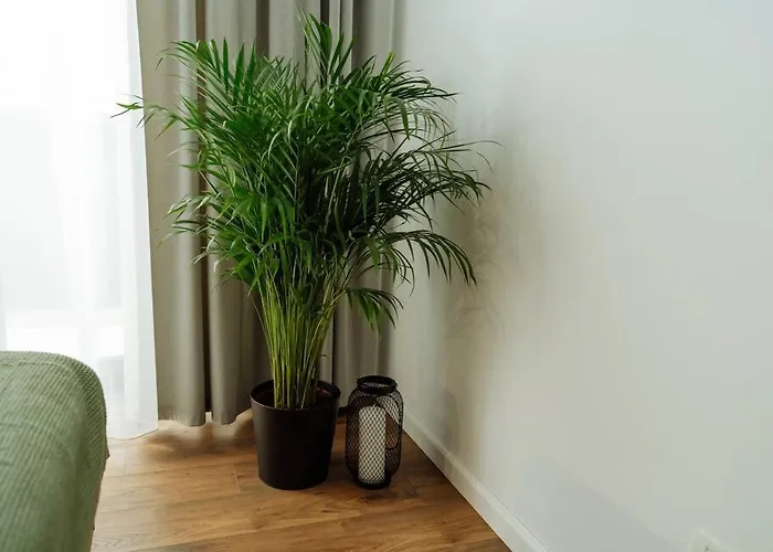 1 - New Building & Parking *